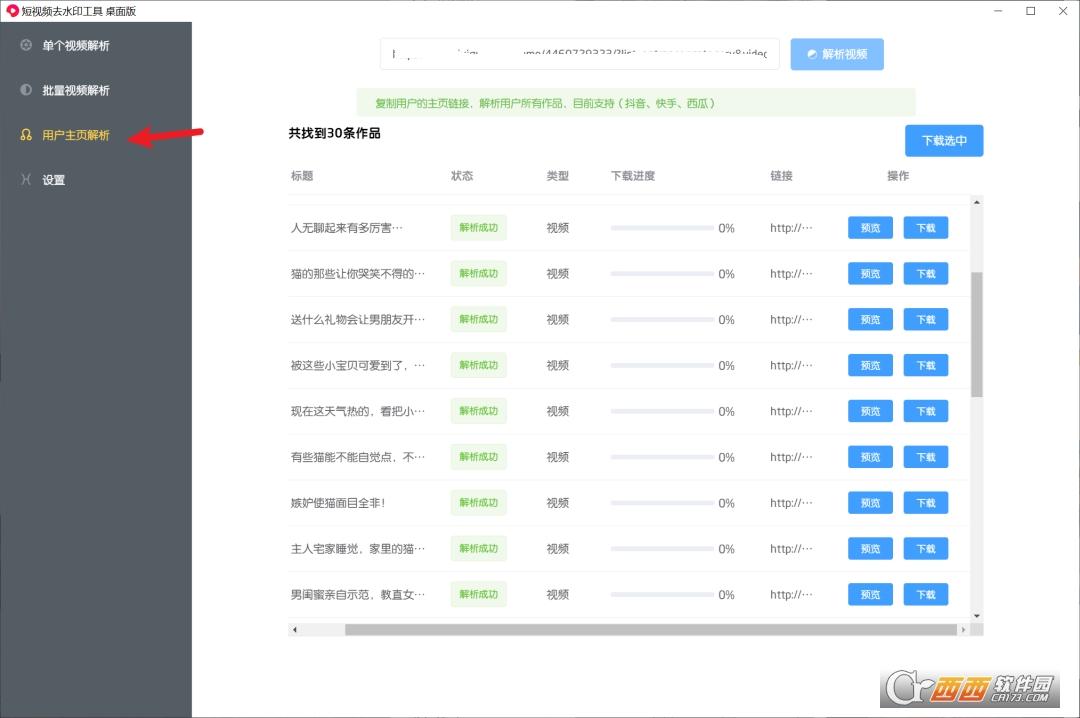 抖音快手西瓜视频,一键水印,视频解析.